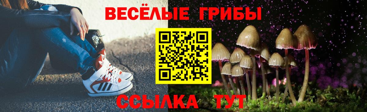 Дивногорск  Псилоцибиновые грибы ЛСД  Вход с VPN 